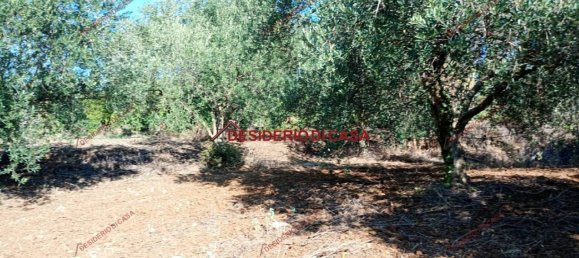 4 rooms House in Partinico, Italy No. 324900 4