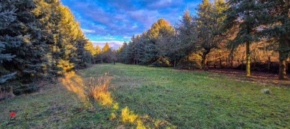 Edifício de 11 divisões em Dahme-Spreewald, Germany N.º 98613 15