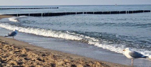 2 Schlafzimmer Wohnung in Rostock, Germany, Nr. 207081 15