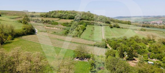  Land in Grossweikersdorf, Austria No. 116474 8