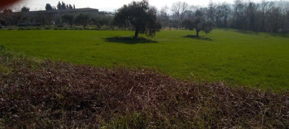 19160m² Land in Senigallia, Italy No. 164367 11