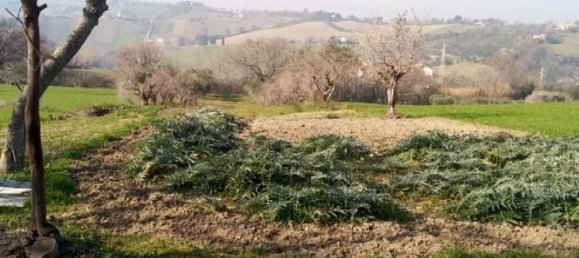 19160m² Land in Senigallia, Italy No. 164367 8