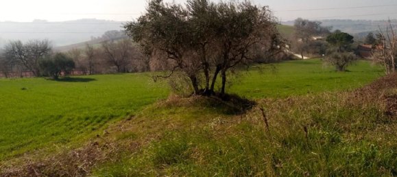 19160m² Land in Senigallia, Italy No. 164367 12