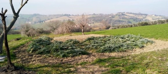 19160m² Land in Senigallia, Italy No. 164367 7