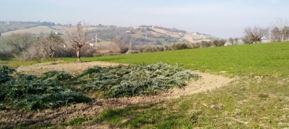 19160m² Land in Senigallia, Italy No. 164367 9