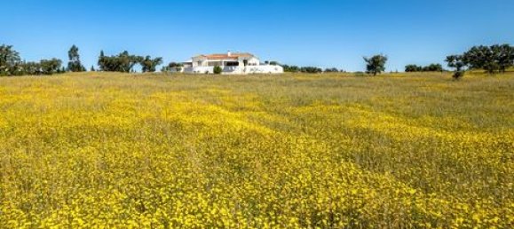 4 Schlafzimmer Haus in Ourique, Portugal, Nr. 149739 10