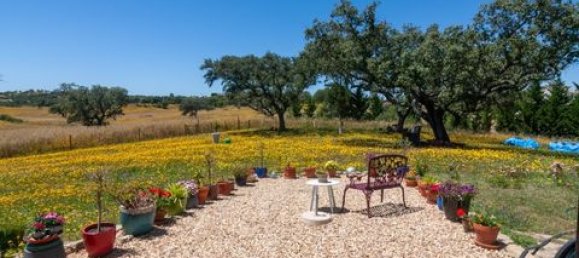 4 Schlafzimmer Haus in Ourique, Portugal, Nr. 149739 3