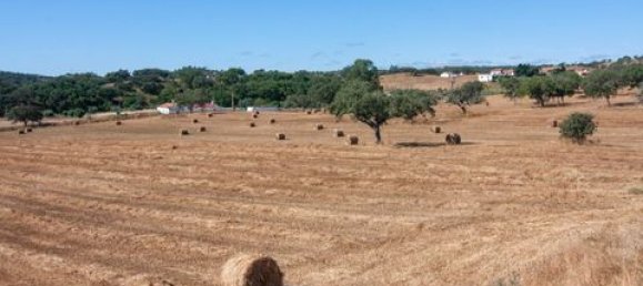 4 Schlafzimmer Haus in Ourique, Portugal, Nr. 149739 13