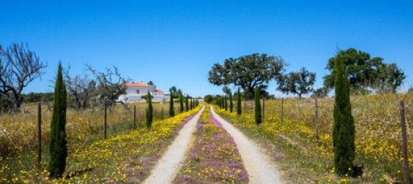 4 Schlafzimmer Haus in Ourique, Portugal, Nr. 149739 22