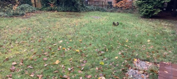 5 rooms House in Osterholz, Germany No. 127984 3