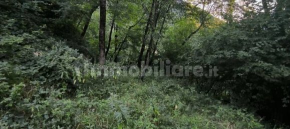 Grundstück in Casazza, Italy 40000m², Nr. 354234 9