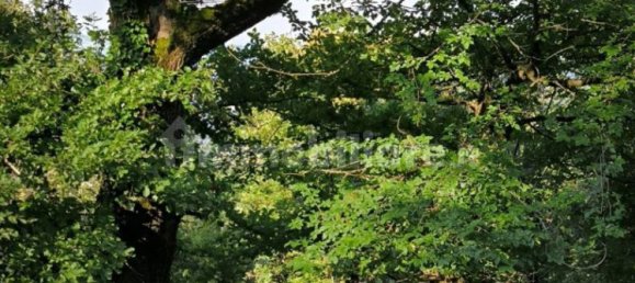 Grundstück in Casazza, Italy 40000m², Nr. 354234 3