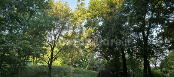 Grundstück in Casazza, Italy 40000m², Nr. 354234 5