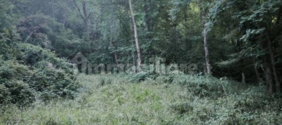 Grundstück in Casazza, Italy 40000m², Nr. 354234 12