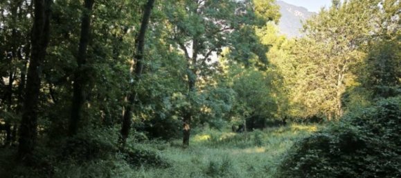 Grundstück in Casazza, Italy 40000m², Nr. 354234 13