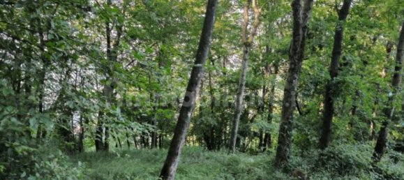 Grundstück in Casazza, Italy 40000m², Nr. 354234 14