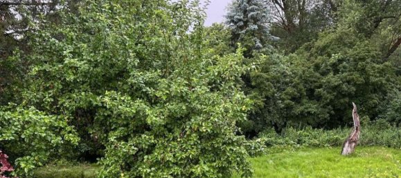 Terreno en Braunschweig, Germany No. 312918 2