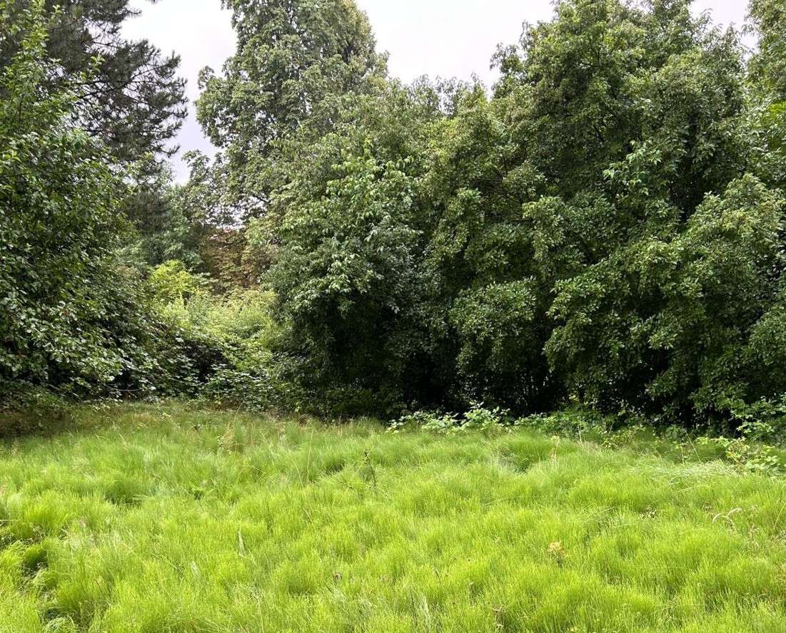 Terreno en Braunschweig, Germany No. 312918