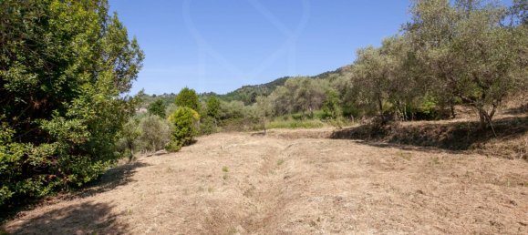 3 chambres Maison à Lucca, Italy No. 42721 5