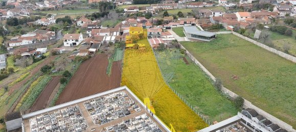 4 bedrooms House in Albergaria a Velha, Portugal No. 186488 7