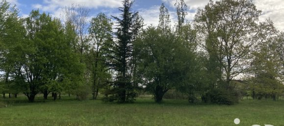 5 bedrooms House in Ligny-le-Ribault, France No. 228672 9