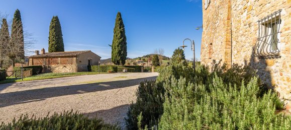 590m² Hotel in Torrita di Siena, Italy No. 232166 11