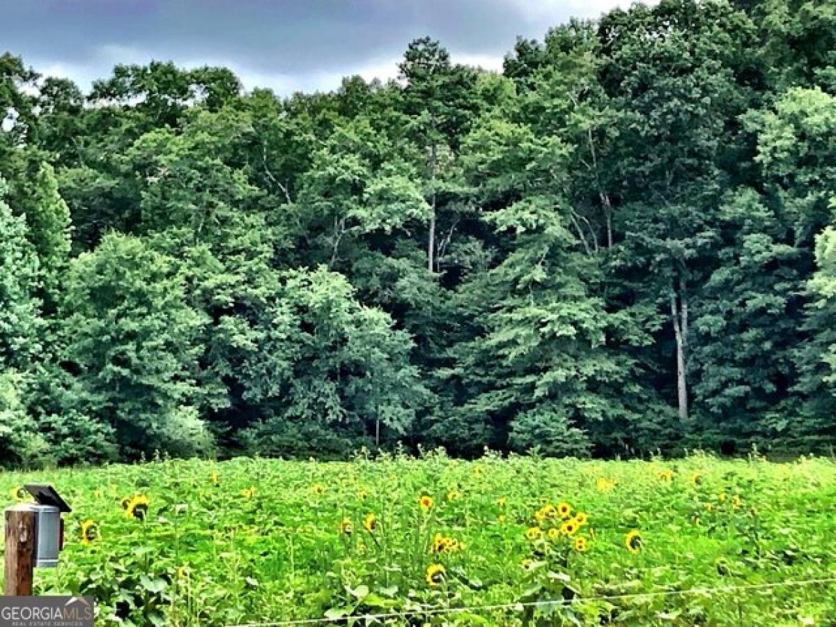  Land in Juliette, USA No. 515136