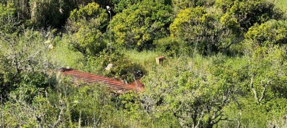 Земельный участок 4250м² в Мафра, Португалия № 74100 2