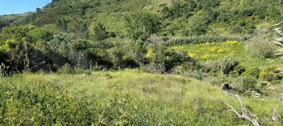 Земельный участок 4250м² в Мафра, Португалия № 74100 8