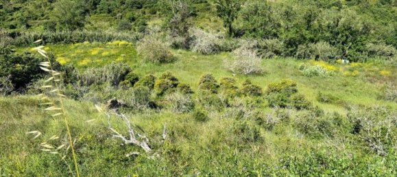 Земельный участок 4250м² в Мафра, Португалия № 74100 6