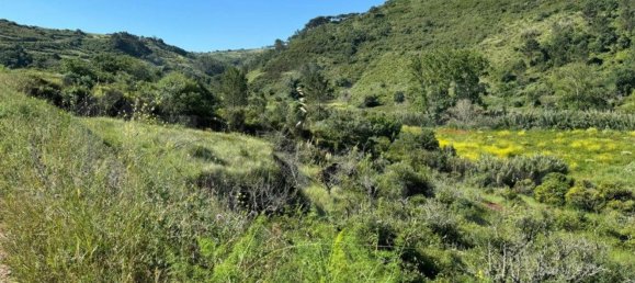 Земельный участок 4250м² в Мафра, Португалия № 74100 4