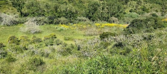 Земельный участок 4250м² в Мафра, Португалия № 74100 7