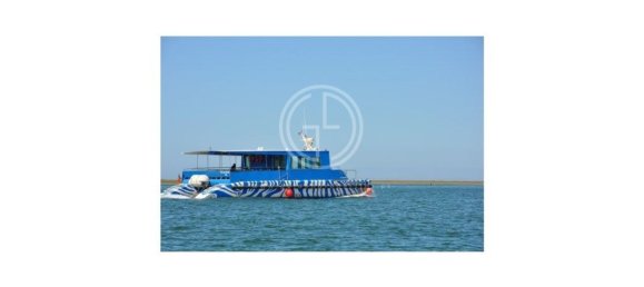 Grundstück in Faro, Portugal 4885m², Nr. 136362 3