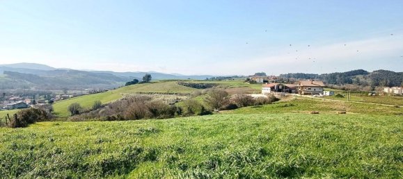 39000m² Land in Camargo, Spain No. 25593 7