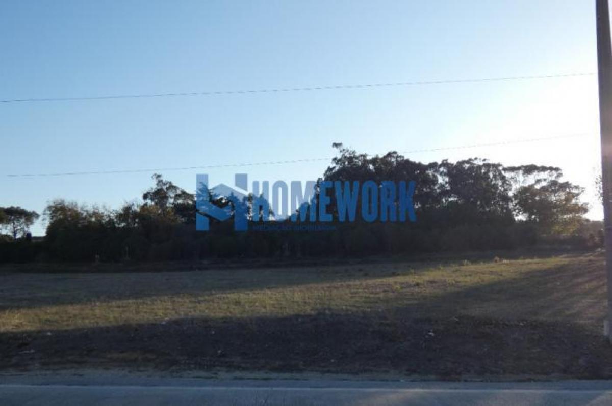  قطعة أرض في Sintra, Portugal رقم 9109