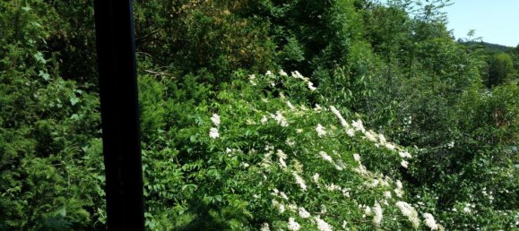 2 bedrooms Townhouse in Duren, Germany No. 368535 8