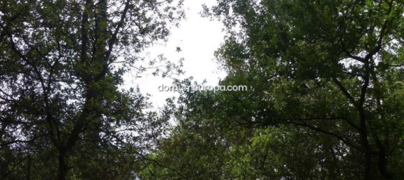 1700m² Land in Girona, Spain No. 160905 42