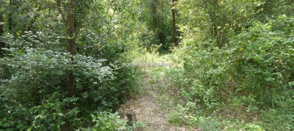 1700m² Land in Girona, Spain No. 160905 43