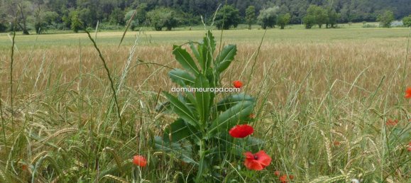 1700m² Land in Girona, Spain No. 160905 23