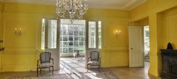 10 bedrooms Castles in Seine-et-Marne, France No. 328931 8