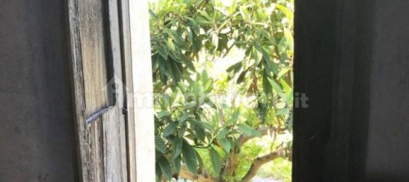 2 bedrooms House in Belmonte Calabro, Italy No. 232497 5