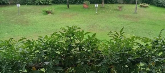 1 bedroom Villa in Viareggio, Italy No. 313196 7