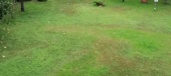 1 bedroom Villa in Viareggio, Italy No. 313196 5