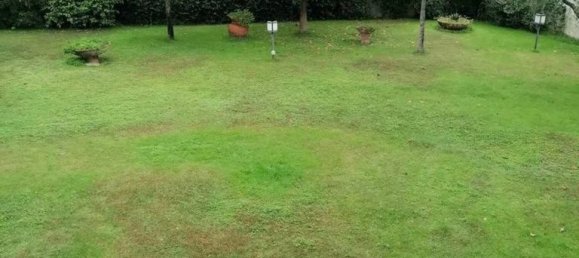 1 bedroom Villa in Viareggio, Italy No. 313196 3