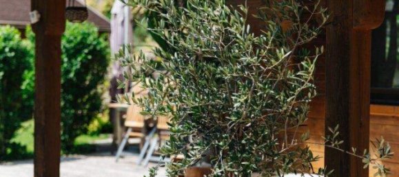 Casa de 3 habitaciónes en Arnoldstein, Austria No. 244601 2