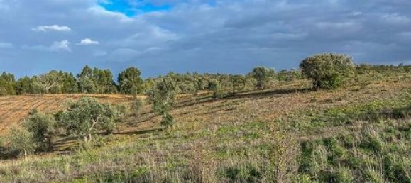 Terrain à Portel, Portugal No. 87271 7