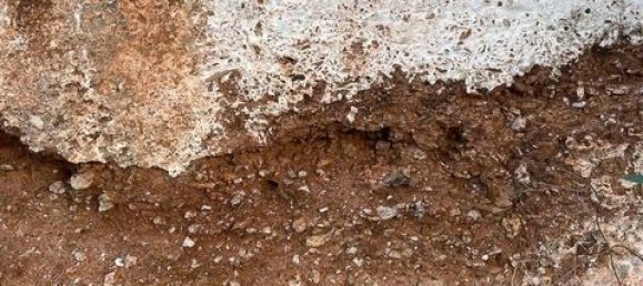 Terrain à Portel, Portugal No. 87271 29