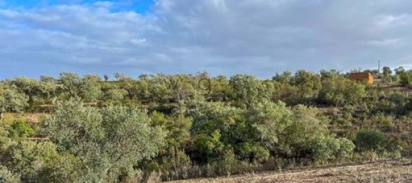 Terrain à Portel, Portugal No. 87271 18