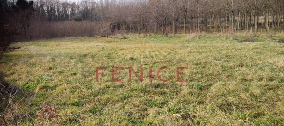 900m² Land in Giavera del Montello, Italy No. 323469 10