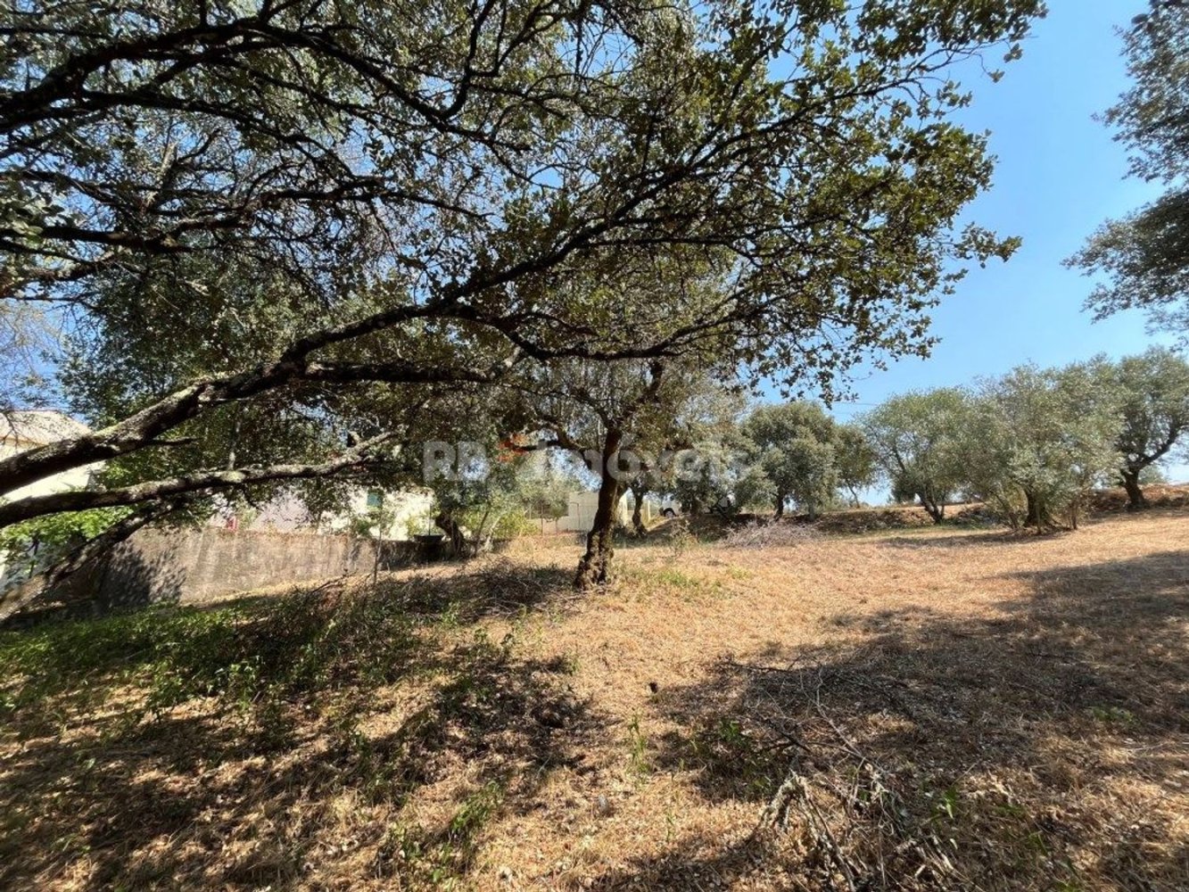  Land in Tomar, Portugal No. 227463